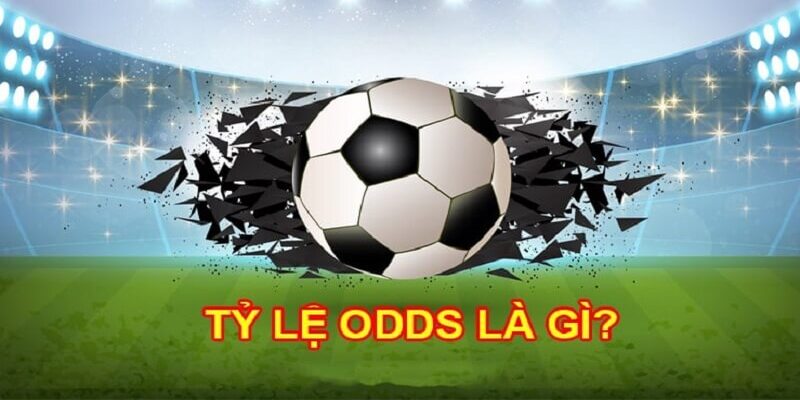 Odds là gì trong bóng đá? Giải nghĩa dễ hiểu từ ManClub 4 Hướng dẫn người chơi đọc và dùng đến odds tối ưu