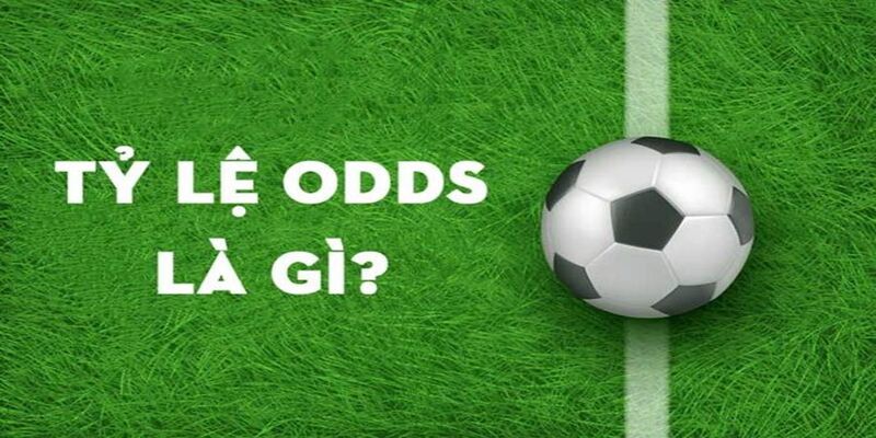 Odds là gì trong bóng đá? Giải nghĩa dễ hiểu từ ManClub 2 Khám phá sâu sắc về odds là gì trong bóng đá