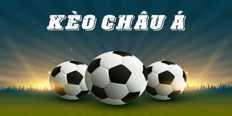 Thuật ngữ cá độ bóng đá – Cẩm nang chi tiết cho newbie 4 Hội viên nên dùng các thuật ngữ đúng cách